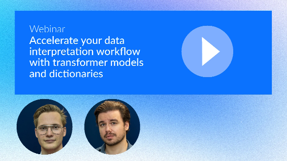 Accelerate your data interpretation workflow with transformer models and dictionaries